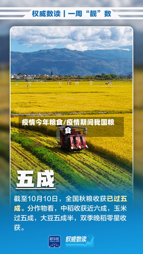 疫情今年粮食/疫情期间我国粮食