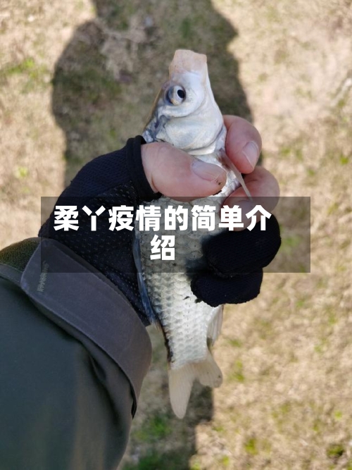 柔丫疫情的简单介绍