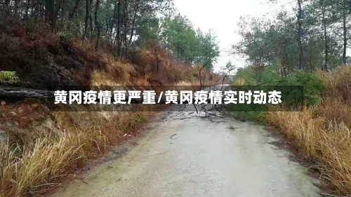 黄冈疫情更严重/黄冈疫情实时动态-第2张图片