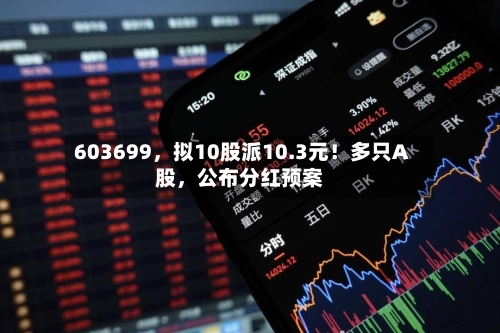 603699，拟10股派10.3元！多只A股	，公布分红预案-第3张图片