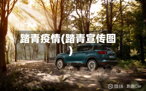 踏青疫情(踏青宣传图)