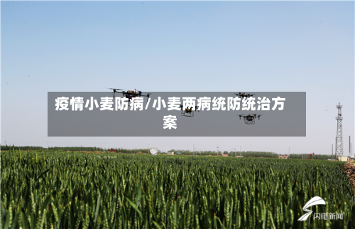 疫情小麦防病/小麦两病统防统治方案