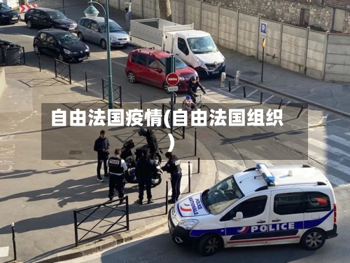 自由法国疫情(自由法国组织)
