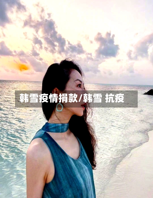 韩雪疫情捐款/韩雪 抗疫