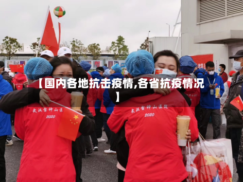 【国内各地抗击疫情,各省抗疫情况】