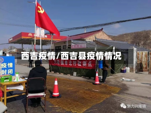 西吉疫情/西吉县疫情情况-第3张图片