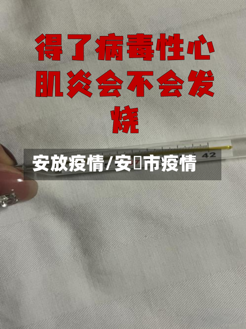 安放疫情/安迖市疫情-第2张图片