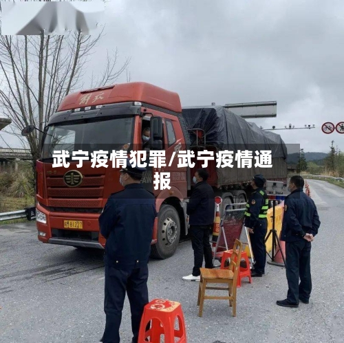武宁疫情犯罪/武宁疫情通报-第2张图片