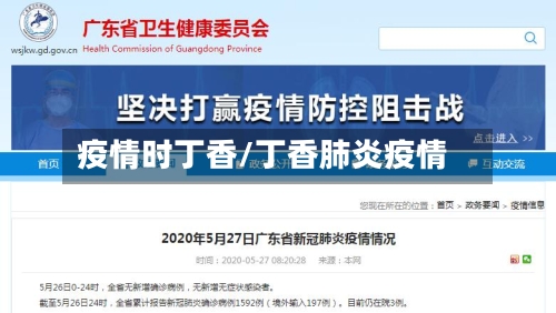 疫情时丁香/丁香肺炎疫情-第2张图片