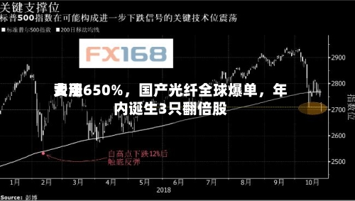 费用大涨650%，国产光纤全球爆单，年内诞生3只翻倍股