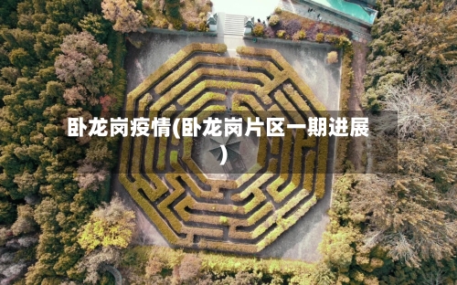 卧龙岗疫情(卧龙岗片区一期进展)-第2张图片