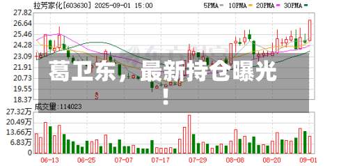 葛卫东，最新持仓曝光！