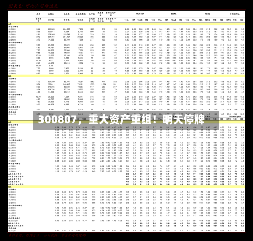 300807	，重大资产重组！明天停牌-第2张图片