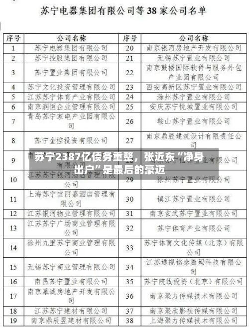 苏宁2387亿债务重整，张近东“净身出户”是最后的豪迈-第2张图片