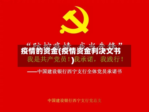 疫情的资金(疫情资金判决文书)