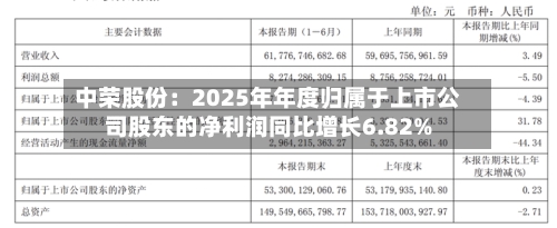 中荣股份：2025年年度归属于上市公司股东的净利润同比增长6.82%-第3张图片