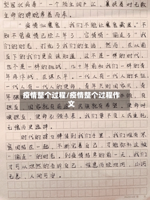 疫情整个过程/疫情整个过程作文
