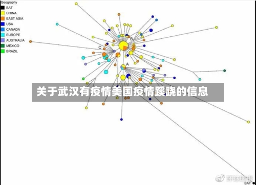 关于武汉有疫情美国疫情蹊跷的信息