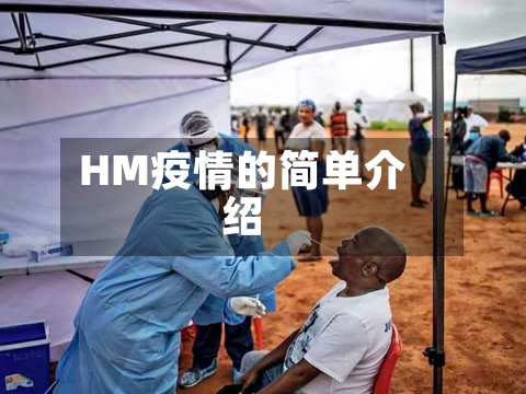 HM疫情的简单介绍