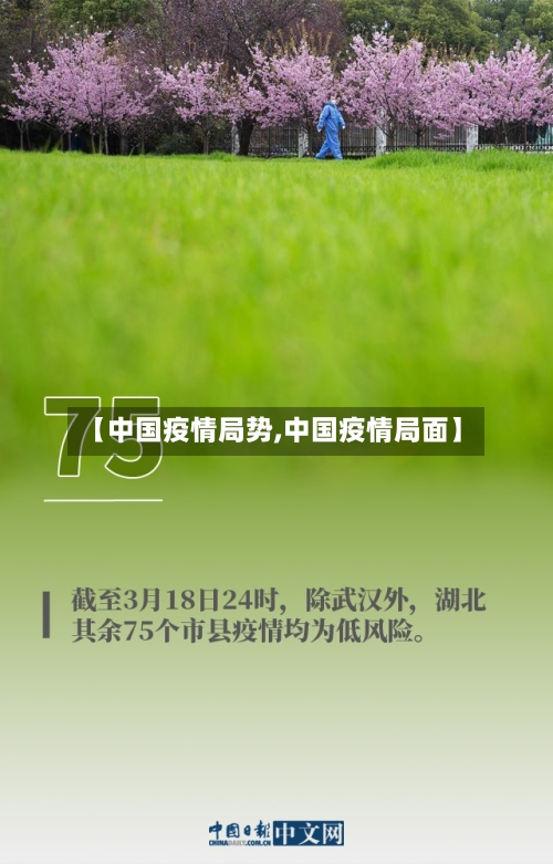 【中国疫情局势,中国疫情局面】