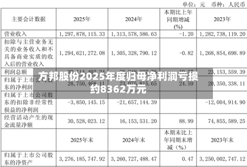 方邦股份2025年度归母净利润亏损约8362万元-第3张图片