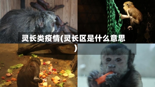 灵长类疫情(灵长区是什么意思)-第2张图片