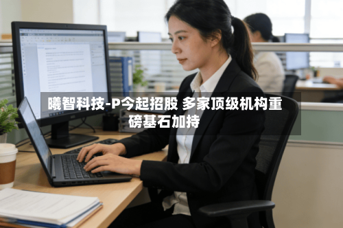 曦智科技-P今起招股 多家顶级机构重磅基石加持-第2张图片