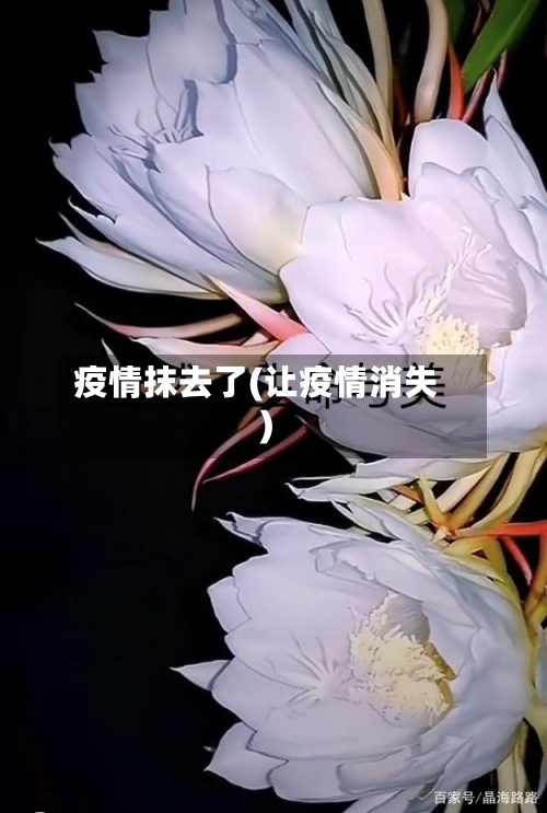 疫情抹去了(让疫情消失)-第2张图片