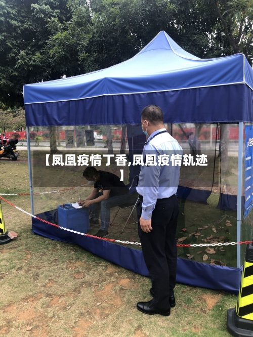 【凤凰疫情丁香,凤凰疫情轨迹】