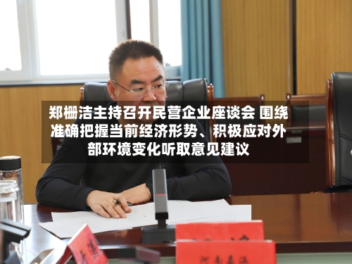 郑栅洁主持召开民营企业座谈会 围绕准确把握当前经济形势、积极应对外部环境变化听取意见建议-第3张图片