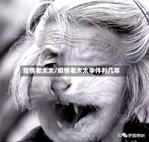 疫情老太太/疫情老太太事件判几年-第3张图片