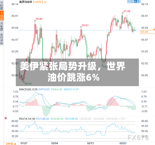 美伊紧张局势升级，世界油价跳涨6%