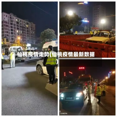 仙桃疫情走势(仙桃疫情最新数据)-第2张图片