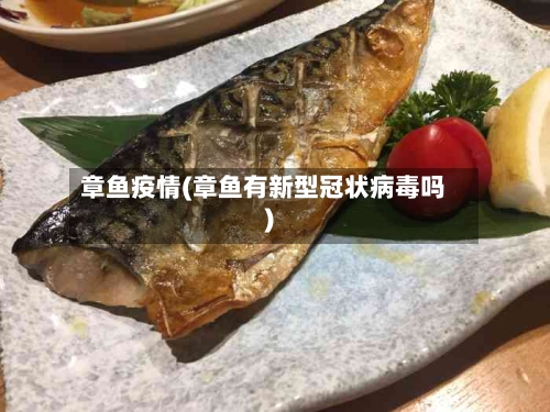 章鱼疫情(章鱼有新型冠状病毒吗)