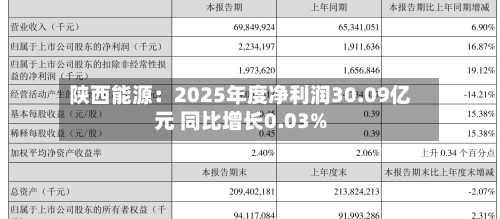 陕西能源：2025年度净利润30.09亿元 同比增长0.03%-第2张图片