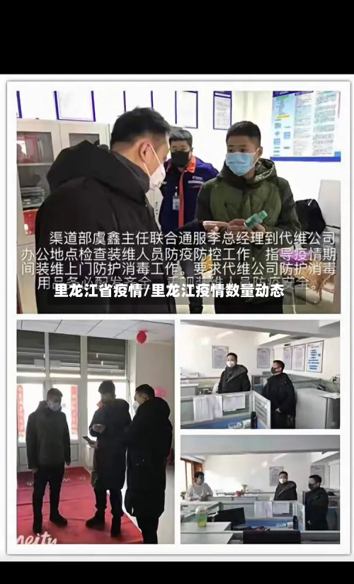 里龙江省疫情/里龙江疫情数量动态-第2张图片