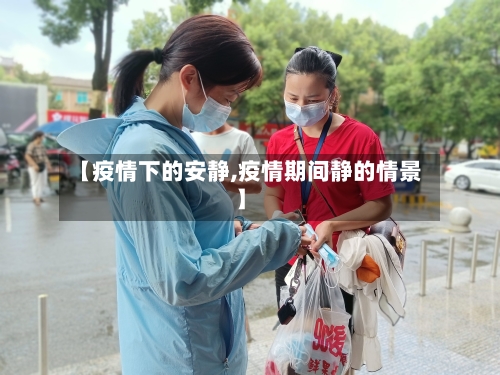 【疫情下的安静,疫情期间静的情景】