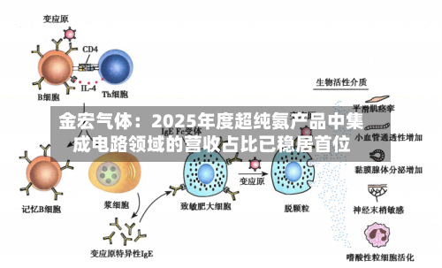 金宏气体：2025年度超纯氨产品中集成电路领域的营收占比已稳居首位