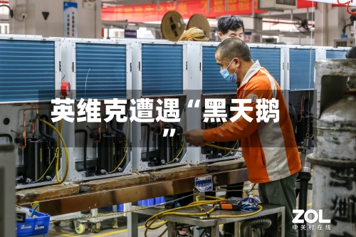 英维克遭遇“黑天鹅”