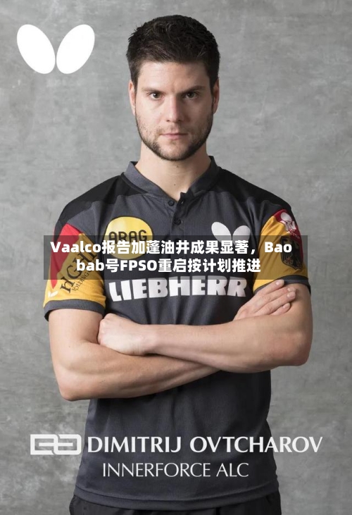 Vaalco报告加蓬油井成果显著，Baobab号FPSO重启按计划推进-第2张图片