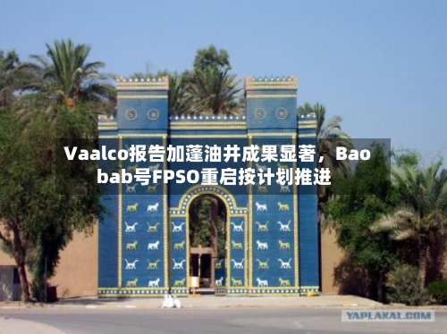 Vaalco报告加蓬油井成果显著，Baobab号FPSO重启按计划推进-第3张图片