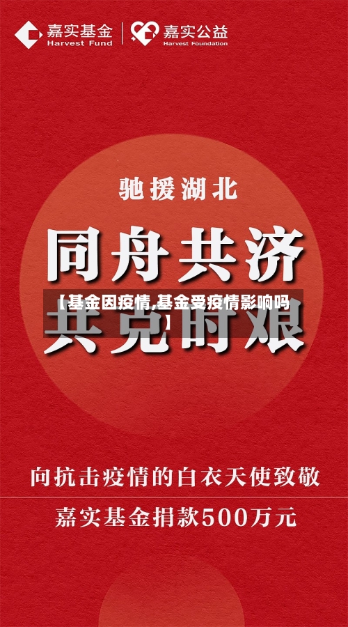 【基金因疫情,基金受疫情影响吗】-第3张图片