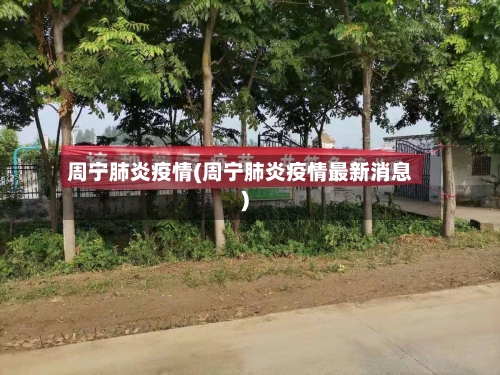 周宁肺炎疫情(周宁肺炎疫情最新消息)-第2张图片