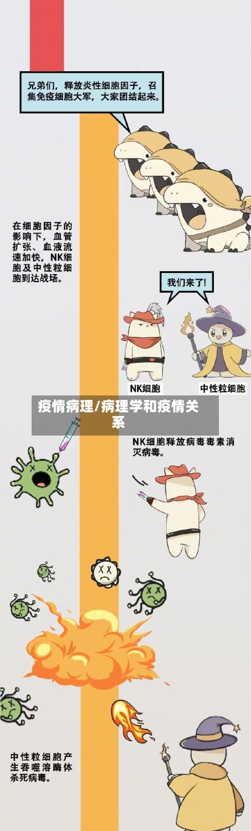 疫情病理/病理学和疫情关系-第2张图片