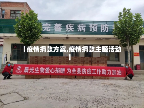 【疫情捐款方案,疫情捐款主题活动】-第3张图片