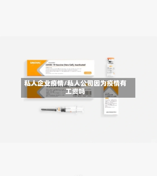 私人企业疫情/私人公司因为疫情有工资吗
