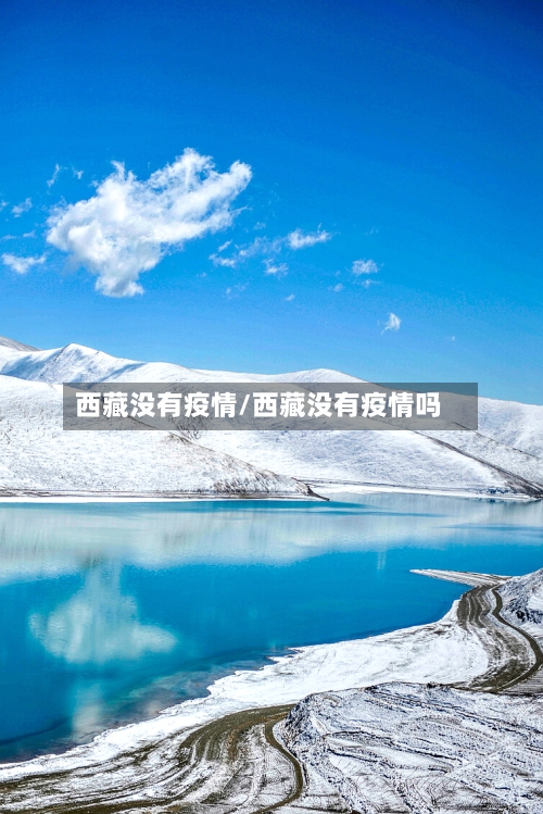 西藏没有疫情/西藏没有疫情吗-第2张图片