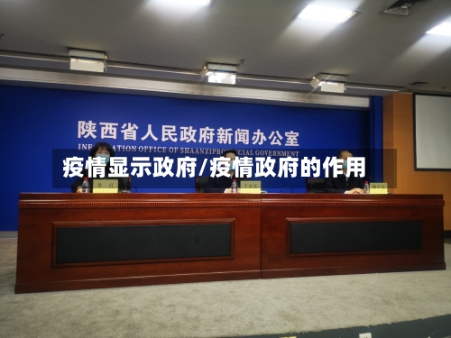 疫情显示政府/疫情政府的作用