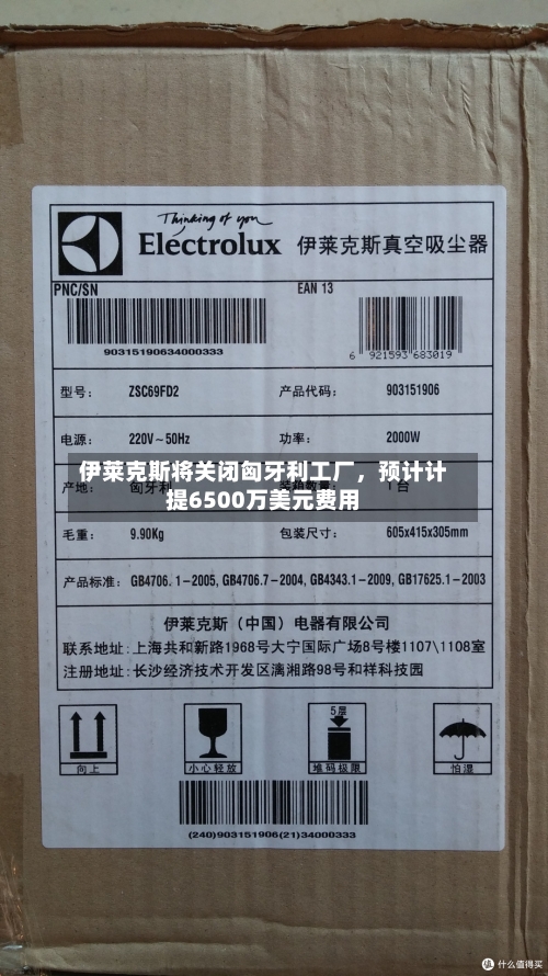 伊莱克斯将关闭匈牙利工厂	，预计计提6500万美元费用-第2张图片
