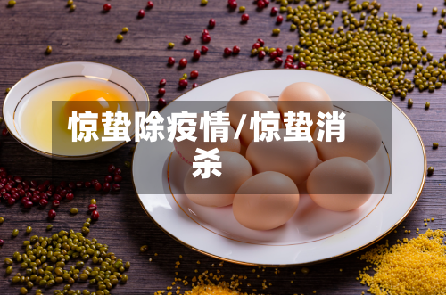 惊蛰除疫情/惊蛰消杀-第2张图片